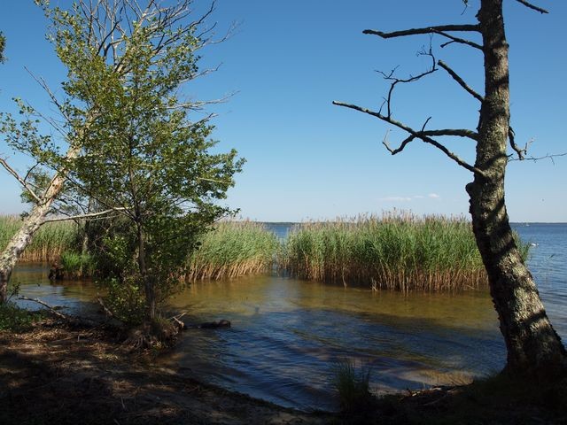Lacanau